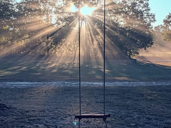 Different Kinds of Wealth